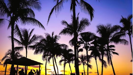 Best Luaus in Hawaii