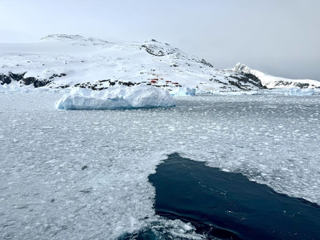 Our Atlas Ocean Voyages Antarctica Cruise Was Not What We Expected