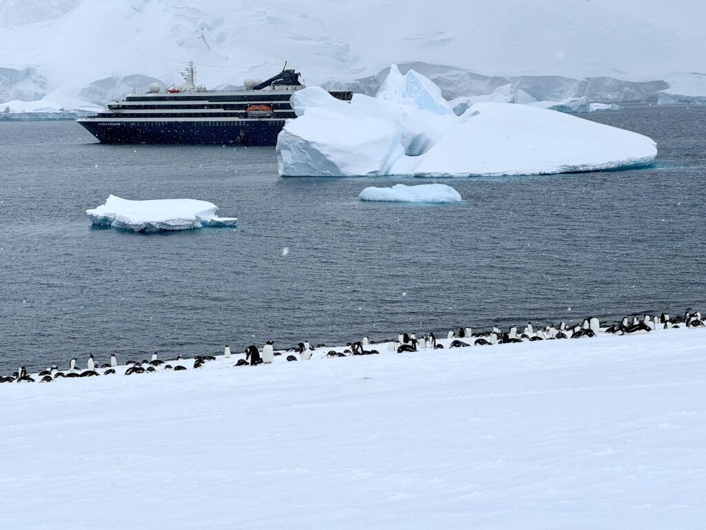 Our Atlas Ocean Voyages Antarctica Cruise Was Not What We Expected