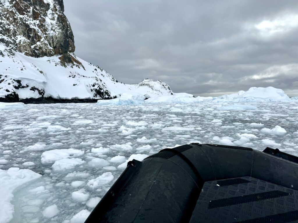 Our Atlas Ocean Voyages Antarctica Cruise Was Not What We Expected